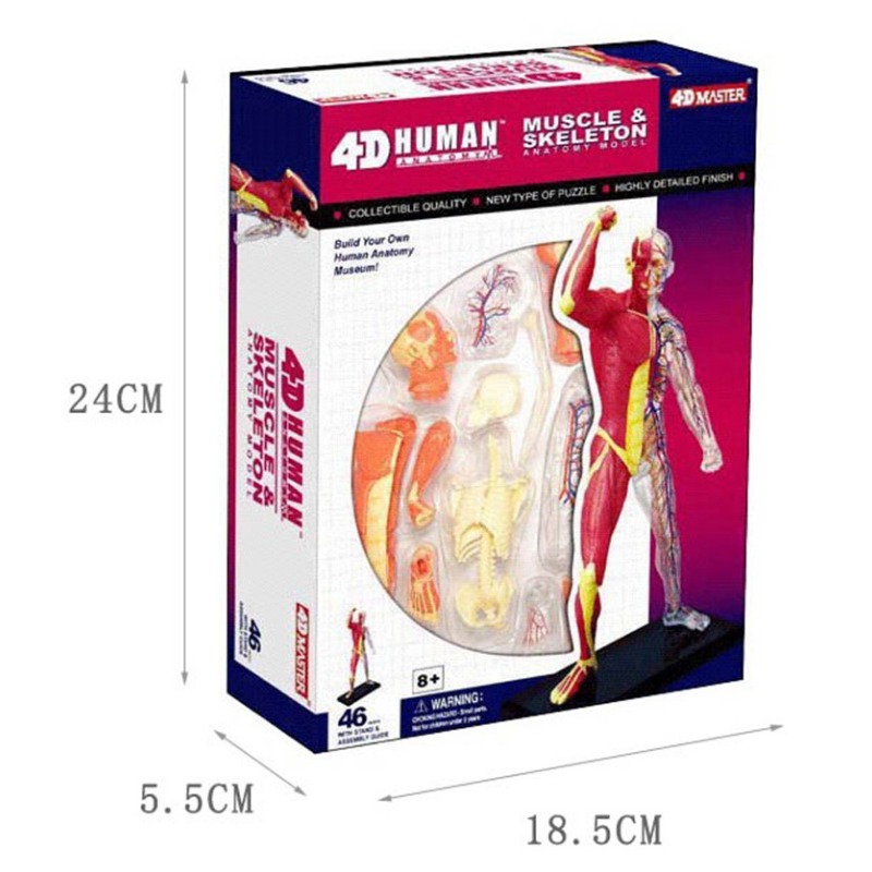 4d Master Human Muscle Skeleto - Medical Lab Technology 评论和价格