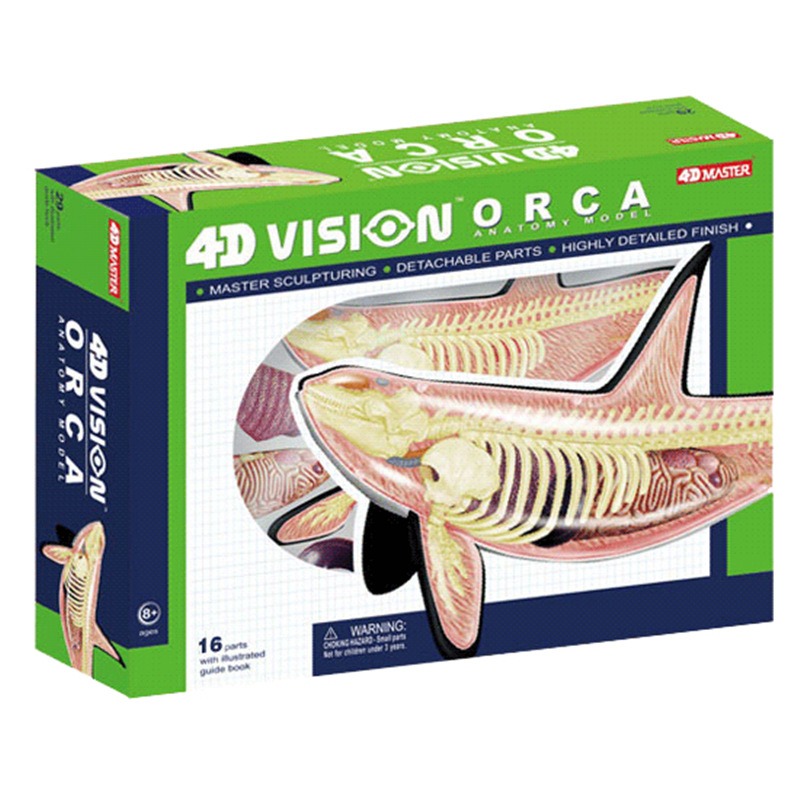 4D Vision Orca Whale Skeleton  - Medical Lab Technology 评论和价格